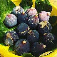 Bastide Sainte Trinide