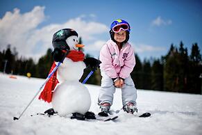 Luxurious Chalet in Murau With Terrace