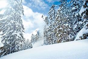 Scenic Apartment in Neukirchen am Großvenediger near Ski Area
