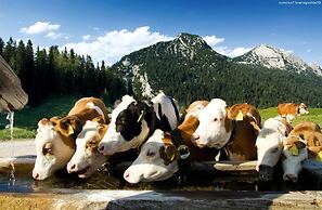 Scenic Apartment in Neukirchen am Großvenediger near Ski Area