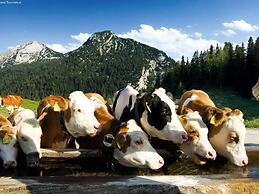 Scenic Apartment in Neukirchen am Großvenediger near Ski Area