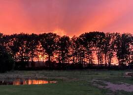 Modern Forest Chalet