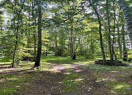 Modern Forest Chalet