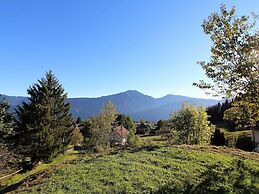 Apartment in Sankt Stefan Near Lake Pressegger