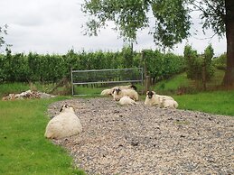 Pet-friendly Farmhouse