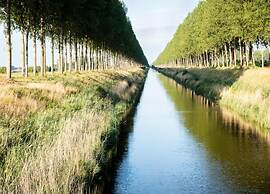 Pet-friendly Farmhouse