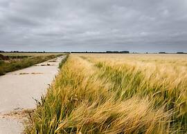 Pet-friendly Farmhouse