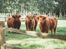 Grand Holiday Home in Alphen with Sauna & Hot Tub