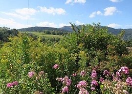 Apartment in the Vosges
