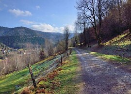 Apartment in the Vosges