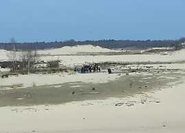 Chalet Near Drunense Dunes in Van Gogh Style