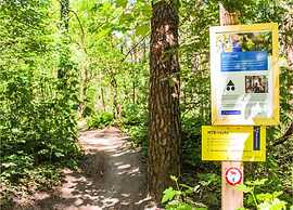 Chalet Near Drunense Dunes in Van Gogh Style