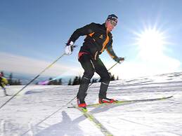 Apartment in Wernberg in Carinthia With Pool