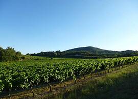 Mansion in Provence With Pool & Near Town