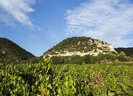 Mansion in Provence With Pool & Near Town