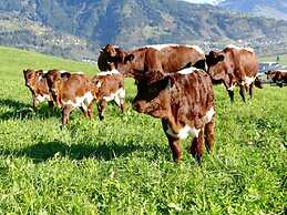 Apartment in Kaprun/salzburgerland Near ski Area