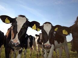 Nice Villa in Wieringer Style near Wadden Sea