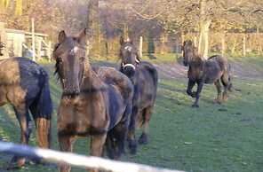 Modern Comfort in a Central Spot