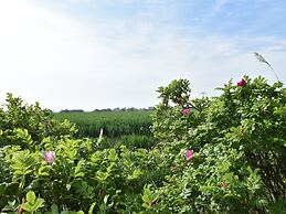 Classy Villa in Tzummarum With Terrace, Garden