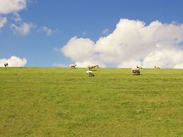 Classy Villa in Tzummarum With Terrace, Garden