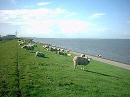 Tidy Chalet with Microwave near Wadden Sea