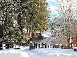 Chalet in Mariapfarr Near ski Area