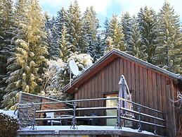 Chalet in Mariapfarr Near ski Area