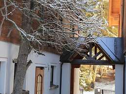 Chalet in Mariapfarr Near ski Area