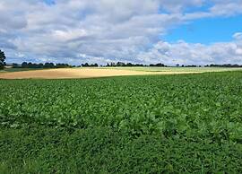 Holiday Home in Sittard With Pool