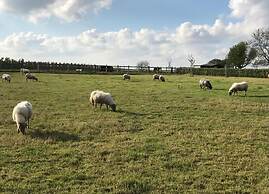 Holiday Home in Sittard With Pool