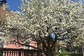 Apartment in Eberndorf Near Klopeiner See