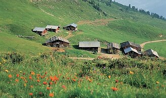 Cozy Apartment in Aschau im Zillertal near Ski Lift