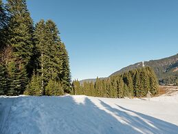 Spacious Chalet in Annaberg-lungotz With Sauna