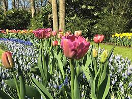 Pretty Apartment in Scheveningen near Sea Beach & Water Sports