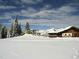 Apartment in the ski Area of St. Margarethen
