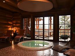 Chalet in Bad Kleinkirchheim With 2 Saunas