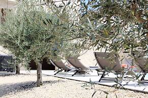 Villa in Luberon With Saltwater Pool