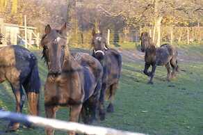 Spacious Villa near Town Center in Mesch