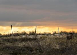Nice House with Large Garden in Noordwijk near Sea