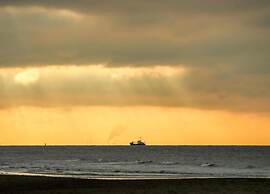 Nice House with Large Garden in Noordwijk near Sea