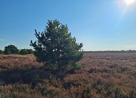 Holiday Home in Elsendorp With Garden