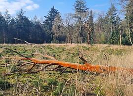 Holiday Home in Elsendorp With Garden