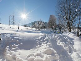 Lovely Chalet in Maria Alm With Terrace