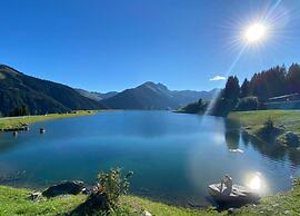 Lovely Chalet in Maria Alm With Terrace