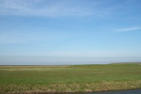 Farmhouse in Holwerd Near the Sea
