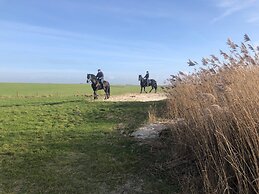 Holiday Home in Warns With Private Jetty