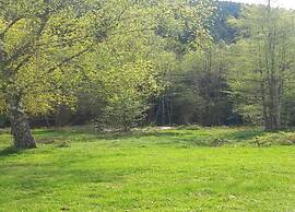 Quiet Chalet With Garden