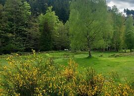 Quiet Chalet With Garden