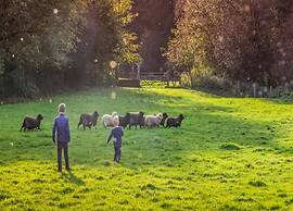 Farmstay With Garden Views