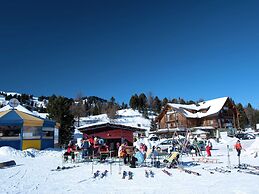 Spacious Chalet near Ski Area in Turracherhohe
